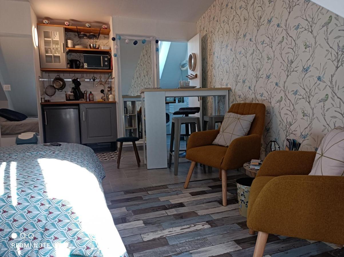 Tres Beau Studio Climatisation, Trois Etoiles, Parking A Velo, Velos En Option, Parking Prive Jardin Montargis Eksteriør billede